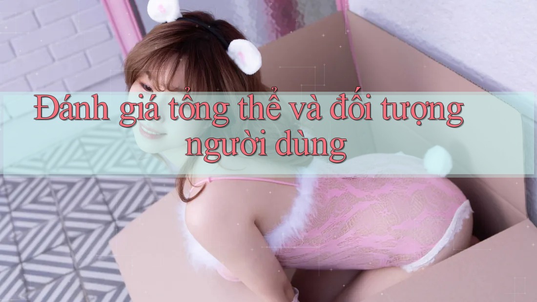 Đánh Giá Tổng Thể Và Đối Tượng Người Dùng