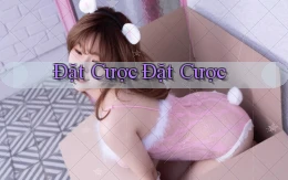 Đặt cược Đặt cược