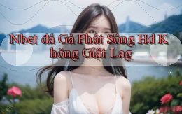 nbet  đá gà phát sóng hd không giật lag